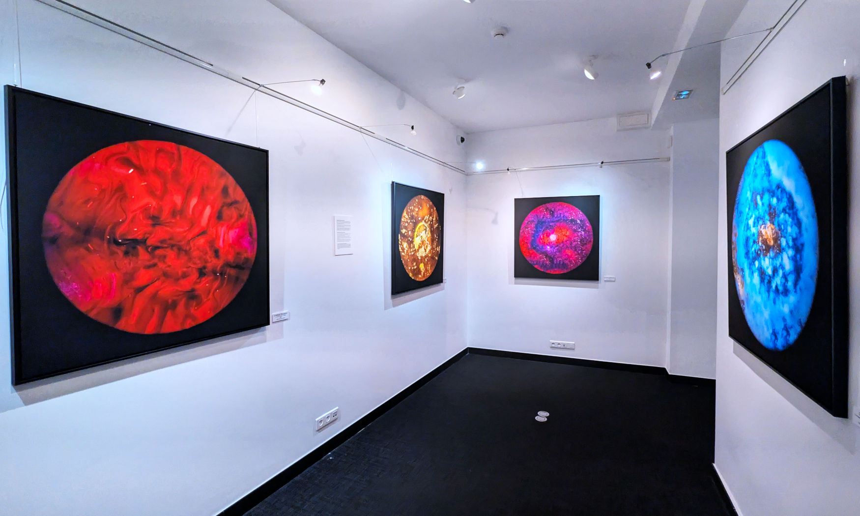 Standard Post with Gallery