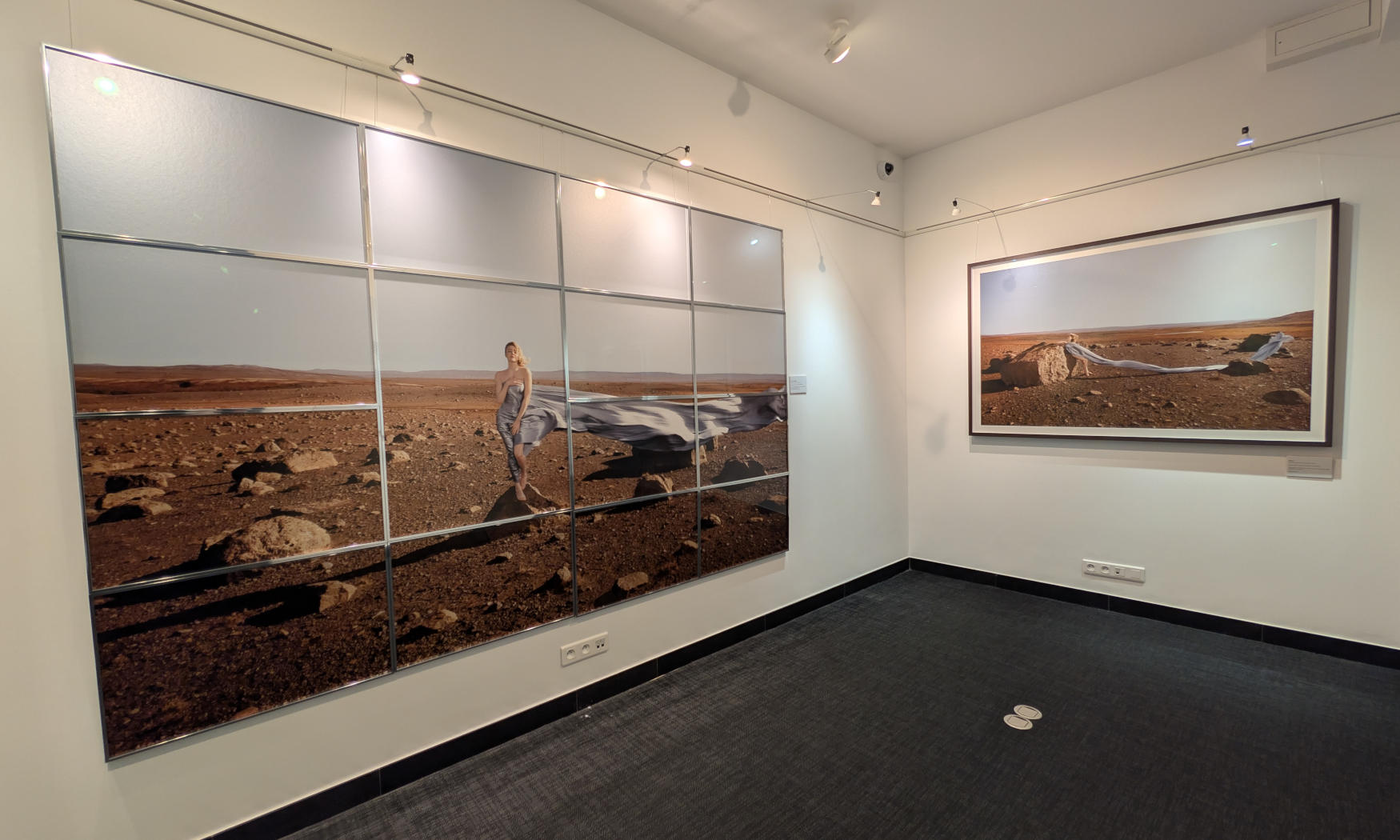 Standard Post with Gallery